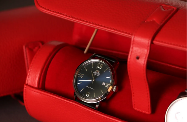 Футляр для годинників Salvadore 3W-JT-RR