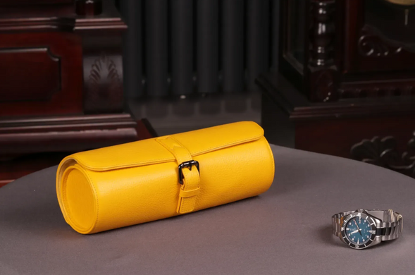 Футляр для годинників Salvadore 3W-JT-YY