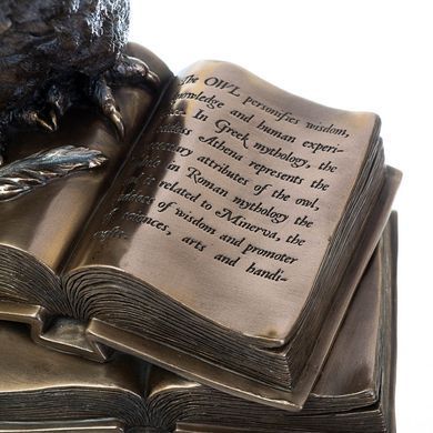 Статуетка Veronese "Сова на книгах" 74110A4