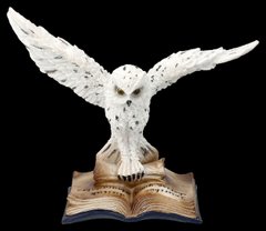 Статуетка Снігова сова на книгах