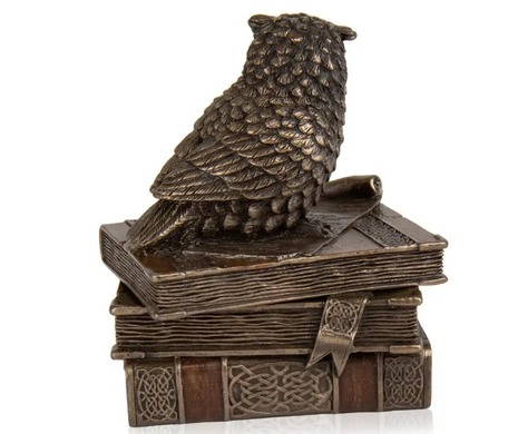 Шкатулка Veronese "Сова на книгах" 75509A4