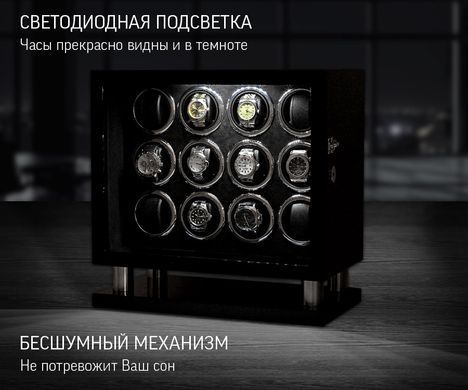 Шкатулка для подзавода часов Rothenschild RS-LTG8012BF-D