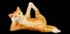 Статуэтка Коты занимаются Йогой Veronese