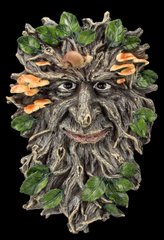 Коллекционная настенная маска "Лесной" FS25589