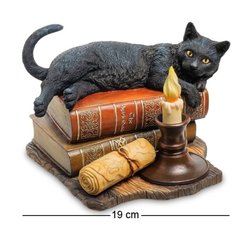 Статуэтка Veronese "Кошка на книгах" WS-843