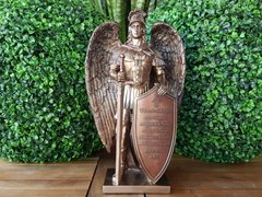Колекційна статуетка Veronese "Ангел зі щитом" WU76407A4
