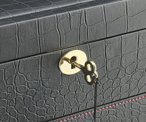 Шкатулка для хранения очков Rothenschild G013-BX-BS