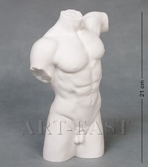 Фарфоровая статуэтка Veronese "Торс мужчины" бисквит WS-102/ 1