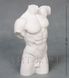 Фарфорова статуетка Veronese "Торс чоловіка" бісквіт WS-102/ 1