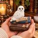 Шкатулка &laquo;Біла сова на книгах &mdash; Охоронниця знань&raquo;  11 см